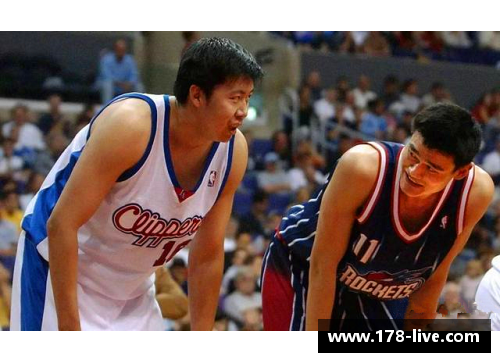 王治郅NBA生涯数据全解析：突破与挑战的记忆与成就