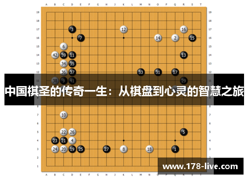 中国棋圣的传奇一生：从棋盘到心灵的智慧之旅